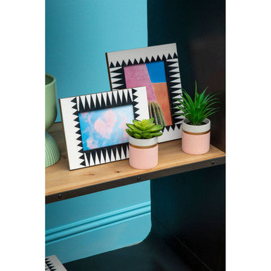 Fiori Set Of 3 Pink Pot Succulents