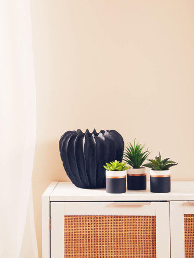 Fiori Set Of 3 Black Pot Succulents