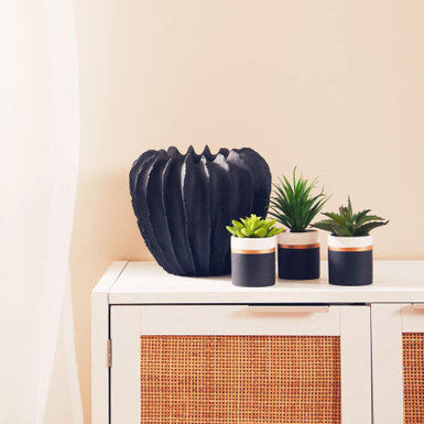 Fiori Set Of 3 Black Pot Succulents - image 2