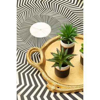 Fiori Set Of 3 Black Pot Succulents