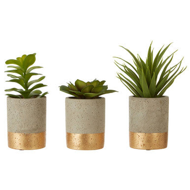 Fiori Set Of 3 Grey Pot Succulents - image 1