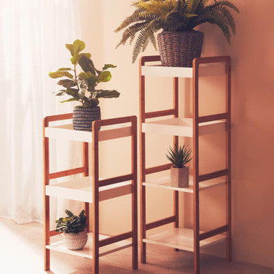 Fiori White Round Pot Mixed Succulent - image 2