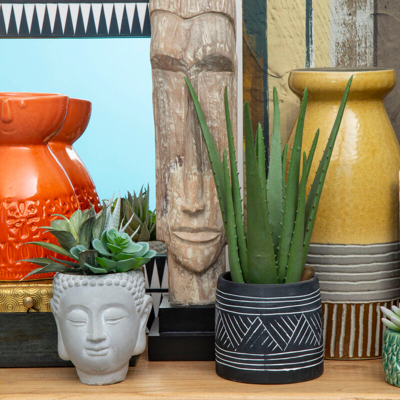 Fiori Buddha Pot Mixed Succulent