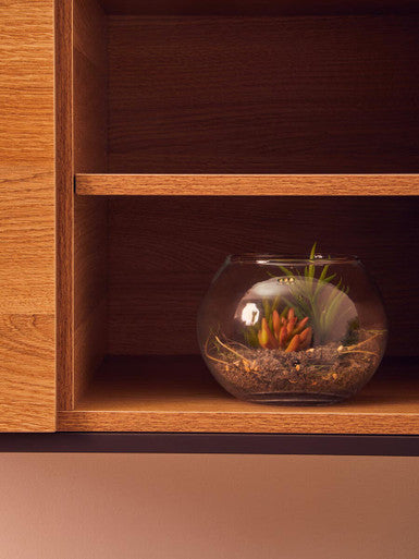 Fiori Small Glass Pot Mixed Succulent - image 4