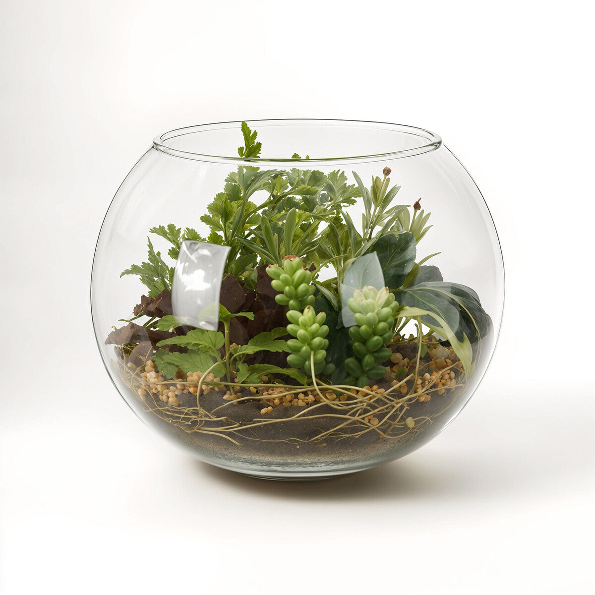 Fiori Large Terranium