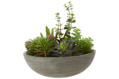 Decorative pot with a mix of succulents and green plants on a white background