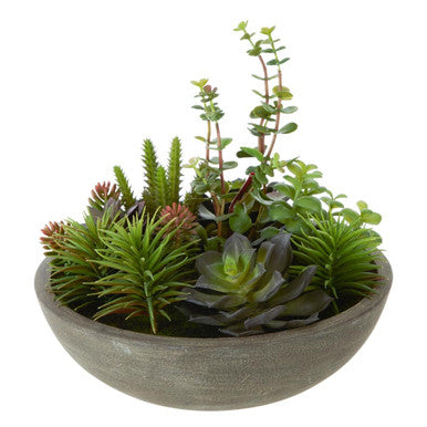 Fiori Mixed Succulent In Stone Effect Pot