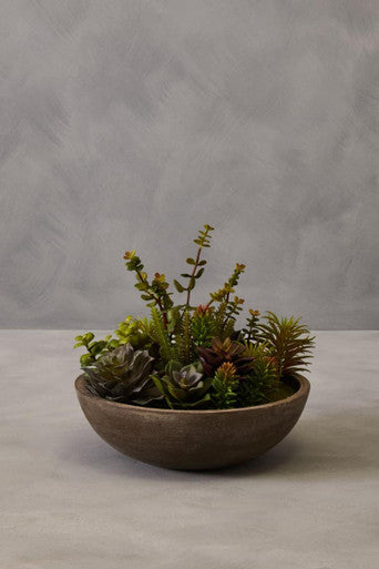 Fiori Mixed Succulent In Stone Effect Pot