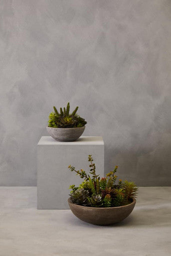 Fiori Mixed Succulent In Stone Effect Pot
