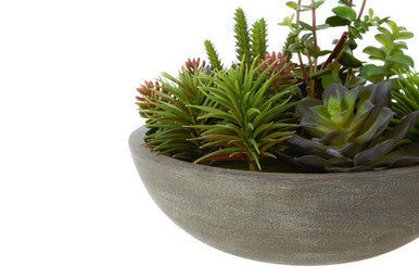 Mixed Succulent in Stone Effect Pot | Fiori