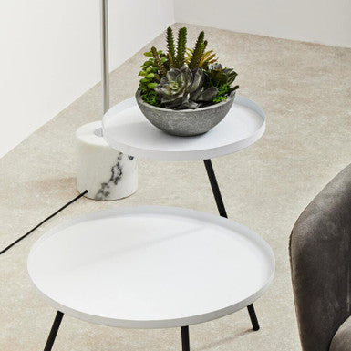 Fiori Paper Stone Effect Pot Mixed Succulent - image 2