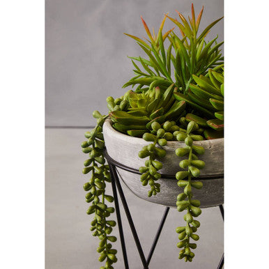 Fiori Mixed Succulent with Metal Stand