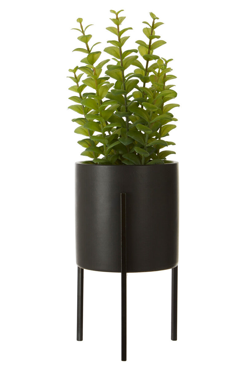 Black plant stand with a green plant on a white background
