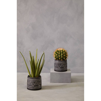 Two potted plants on a gray surface with a gray background