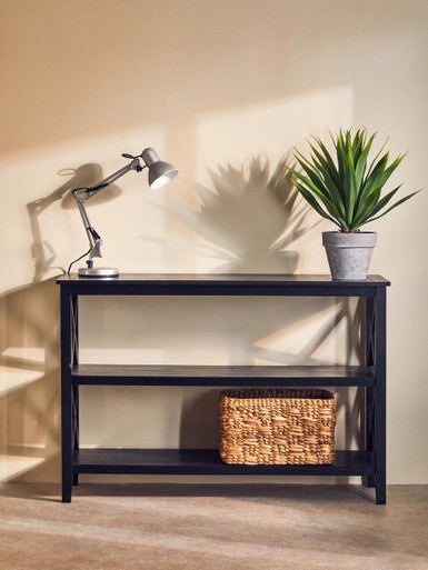 Fiori Agave Succulent