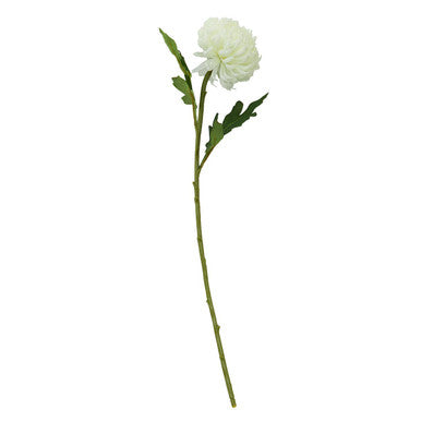 Single white flower on a green stem against a white background