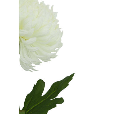 Fiori White Blazing Star Flower Stem