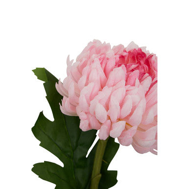Fiori Pink Chrysanthemum Flower Stem