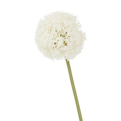 White flower on a white background