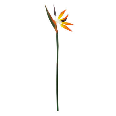 Artificial bird of paradise flower on a white background