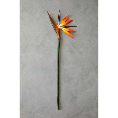 Fiori Artificial flowers 92cm Bird Of Paradise