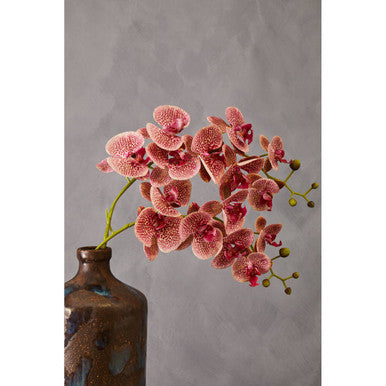Fiori Tall Pink Orchid Spray Flower Stem