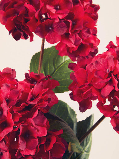 Fiori Red Hydrangea Flower Stem