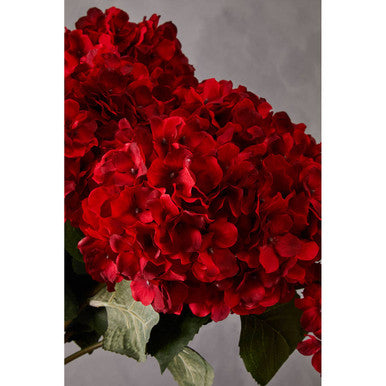 Fiori 74cm Hydrangea Red Stem