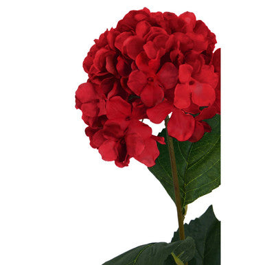 Fiori Red Hydrangea Flower Stem