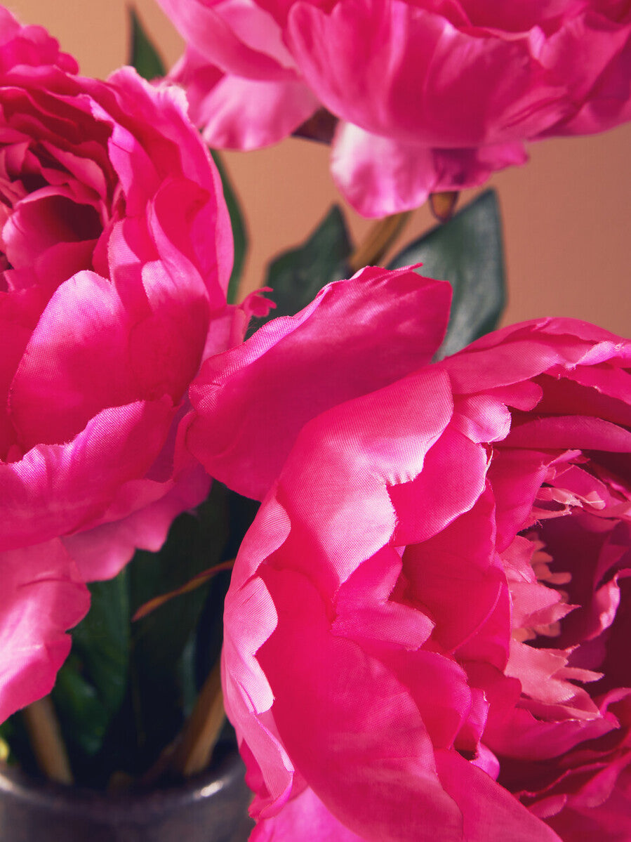 Fiori 65cm Peony Fuchsia Stem