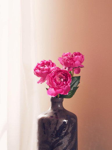 Fiori 65cm Peony Fuchsia Stem