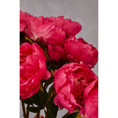 Fiori Fuchsia Peony Flower Stem