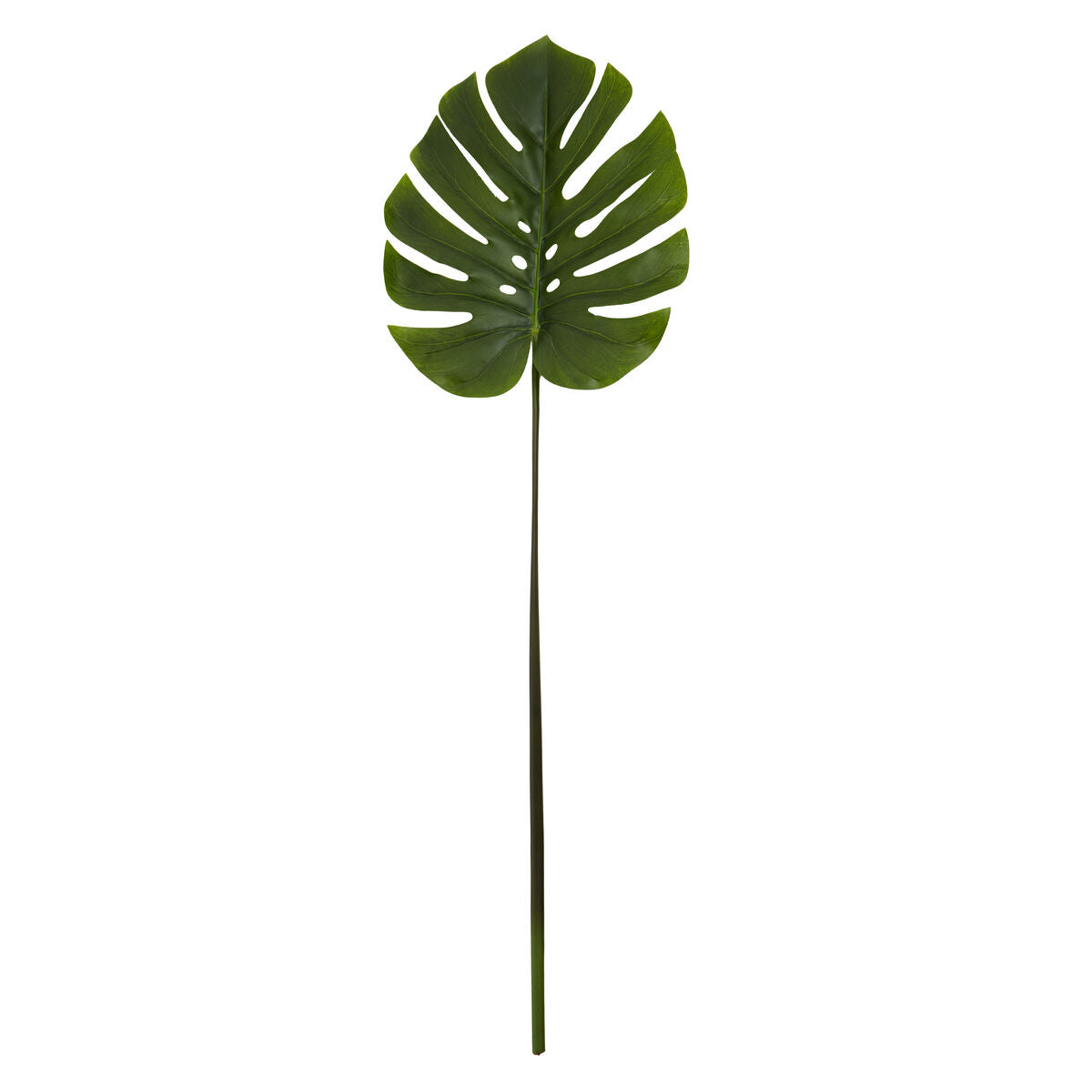 Artificial monstera leaf on a white background