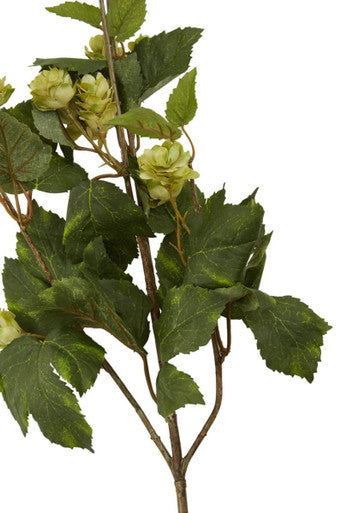 Fiori Faux Pale Lime Hops Stem