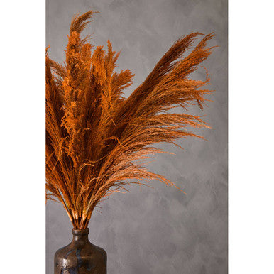 Fiori Pampas Grass Orange Stem - image 5