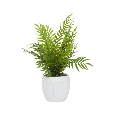 Fiori Fern - image 1