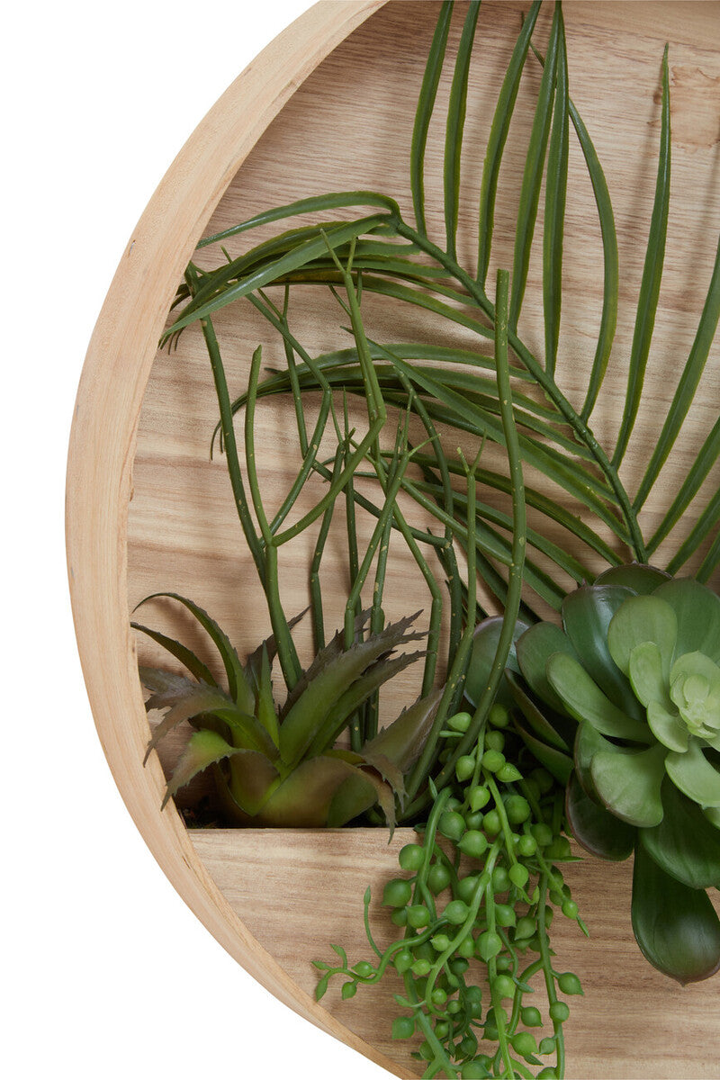 Fiori Mixed Succulents In Wood Wall Planter