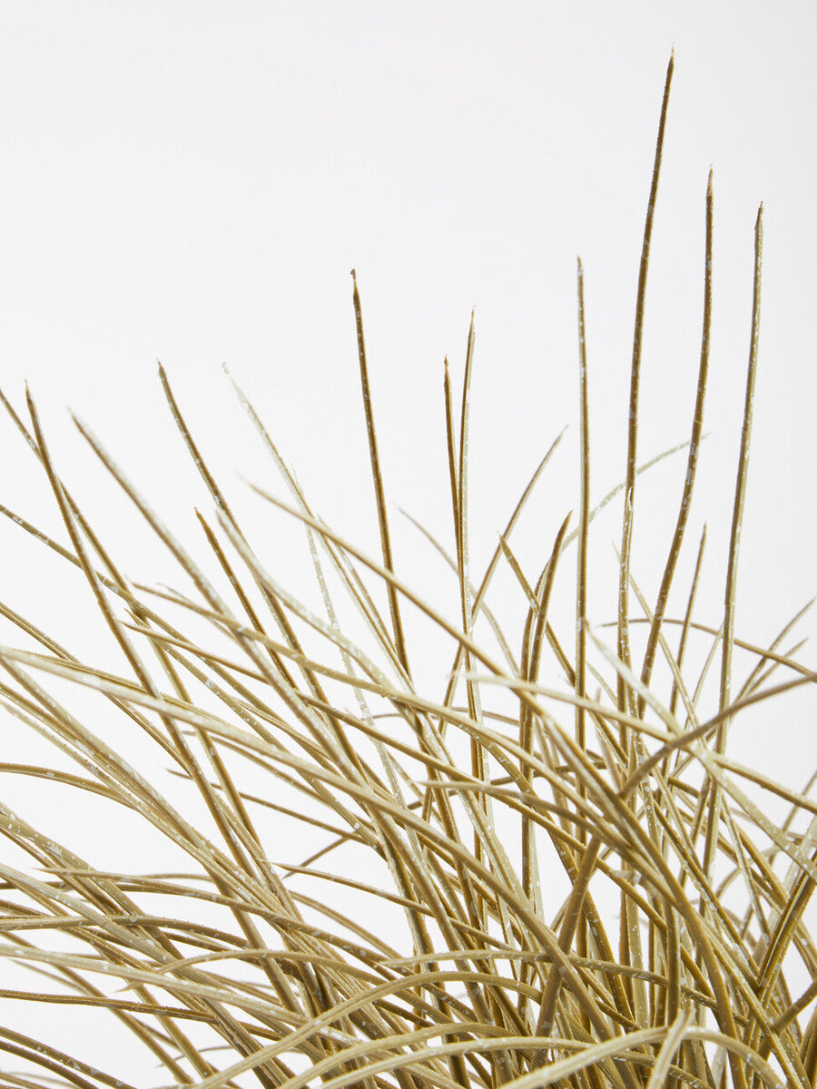 Fiori Grass Plant in a White Marble Effect Pot