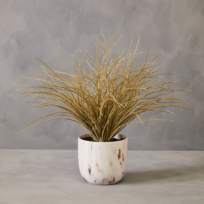 Potted plant with dried grass-like leaves on a gray surface and background