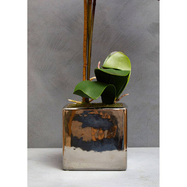 Fiori Purple Orchid in Silver Pot