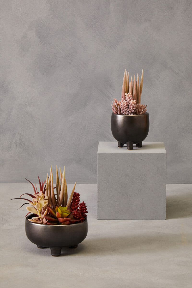Fiori Mixed Succulents In Grey Ceramic Pot