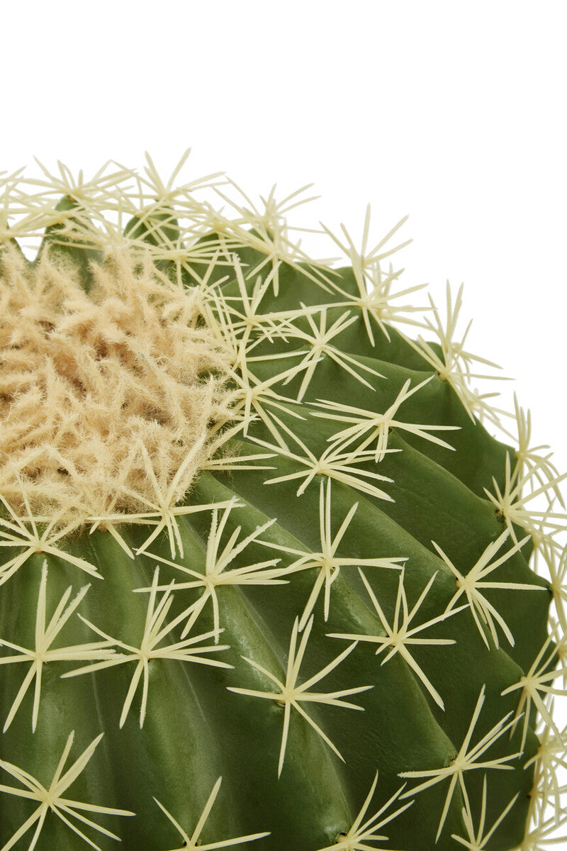 Fiori Cactus