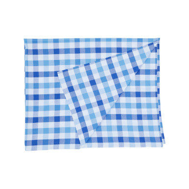 Blue and white checkered fabric on a white background