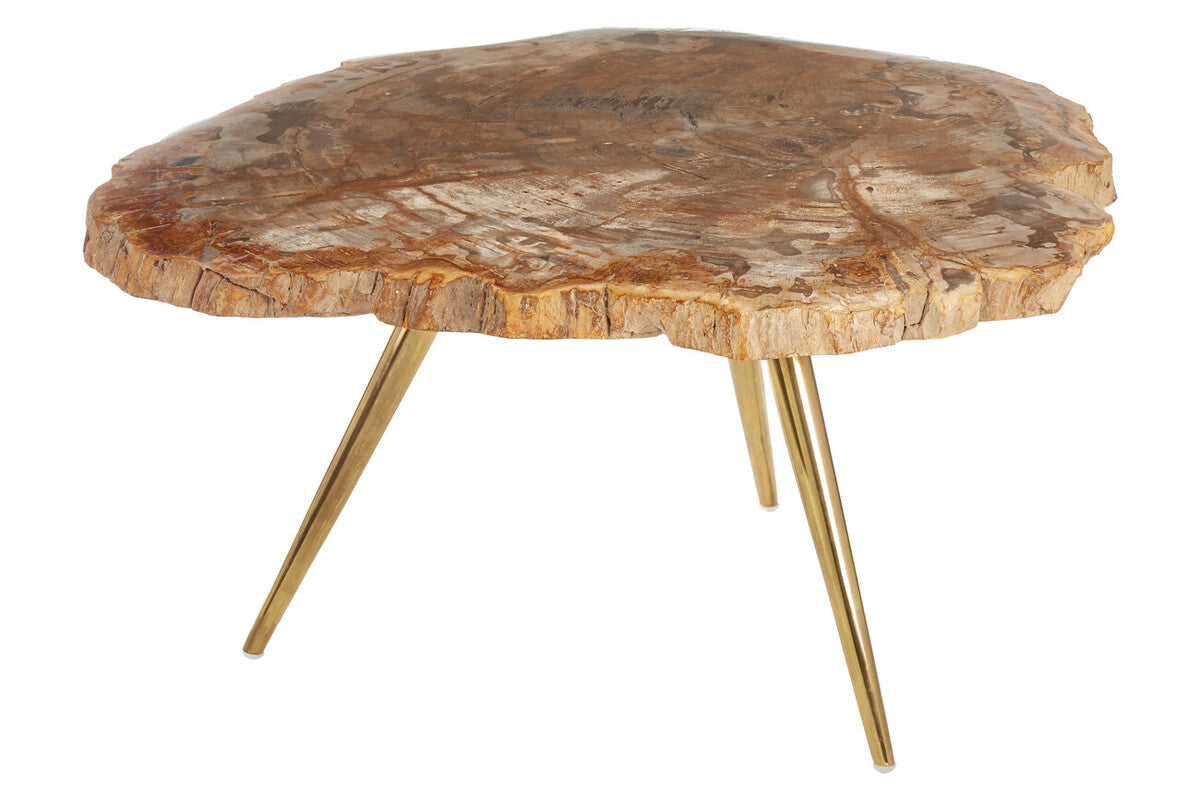 Relic Petrified Wood Coffee Table with Brass Finish Legs
