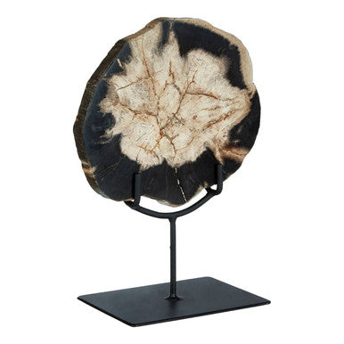 Relic Small Petrified Wood Sculpture