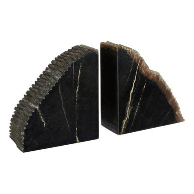 Relic Petrified Wood Bookend