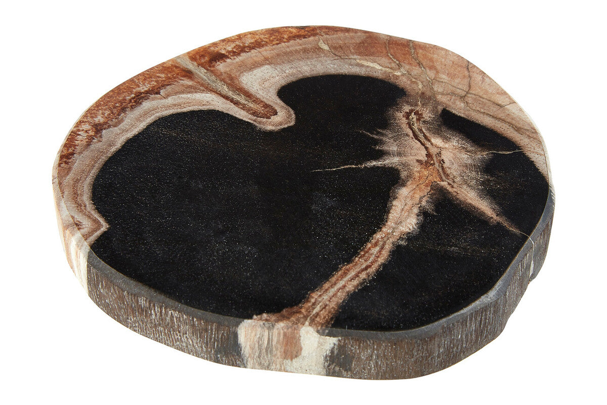 Relic Set Of 4 Petrified Wood Coasters - Image 7