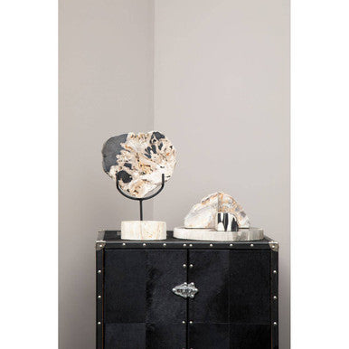 Relic Petrified Wood Serving Board