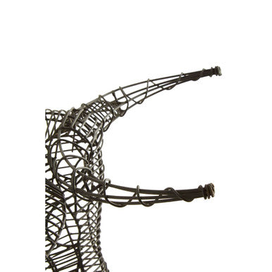 Zania Black Buffalo Head