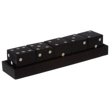 Set of black dice with white dots on a black tray against a white background